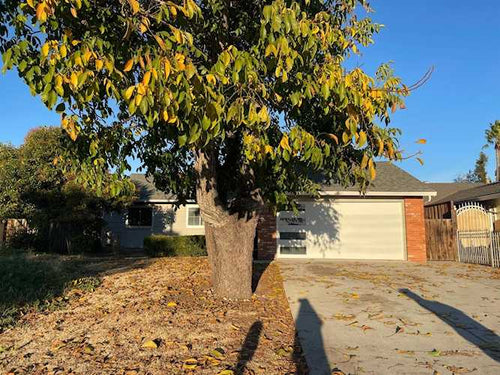 1382 N Capitol Avenue, San Jose, CA 95132 - 3 Beds - 2 Baths - 1,304 Sq.Ft