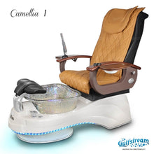 Load image into Gallery viewer, CAMELLIA SPA PEDICURE CHAIR